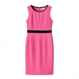 Calvin Klein Colorblock Women’s Sheath Dress Sz 2 Designer